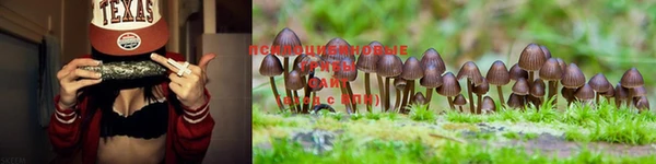 не бодяженный Кодинск
